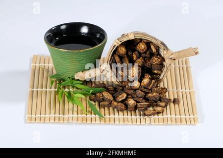 Coupe de thé incisée du rhizome de Notopterygium (Notopterygii Rhizoma seu Radix), rhizome de Notopterygium de Forbes, Qiang Huo Banque D'Images