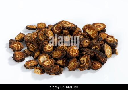 Rhizome de Notopterygium incisé (Notopterygii Rhizoma seu Radix), rhizome de Forbes Notopterygium, Qiang Huo, excisé, objet Banque D'Images