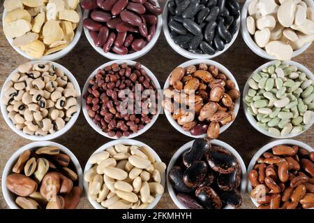 Différents types de haricots, haricots, coquillages Banque D'Images
