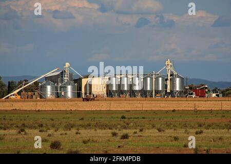 Grain Silos, Narrabri, ouest de la Nouvelle-Galles du Sud, Australie Banque D'Images