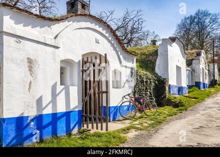 Vinne sklepy, Petrov - Plze u Straznice, Jizni Morava, Ceska republika / caves à vin, Plze dans le village de Petrov, Moravie du Sud, République tchèque Banque D'Images