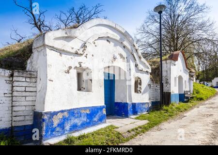 Vinne sklepy, Petrov - Plze u Straznice, Jizni Morava, Ceska republika / caves à vin, Plze dans le village de Petrov, Moravie du Sud, République tchèque Banque D'Images