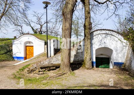 Vinne sklepy, Petrov - Plze u Straznice, Jizni Morava, Ceska republika / caves à vin, Plze dans le village de Petrov, Moravie du Sud, République tchèque Banque D'Images