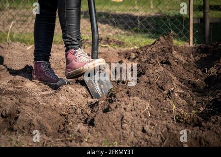 Travaux de jardin. Une femme creuse avec une pelle. Banque D'Images