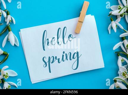 Texte de la carte de vœux HELLO SPRING lettering with Snowdrop flowers. Fleurs du printemps. Printemps. Bouquet frais Banque D'Images