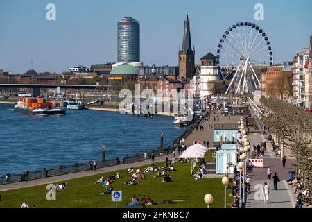 Promenade du Rhin à Düsseldorf, grande roue, ancienne tour du château, basilique Saint-Lambertus, vieille ville, Spring, Victoria Tower, ERGO Insurance High-Rise Banque D'Images