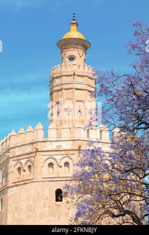 La Torre del Oro, en espagnol : Torre del Oro, est une tour de contrôle militaire, composé de 12 Parties, qui se dresse sur la rive de Séville, Espagne Banque D'Images