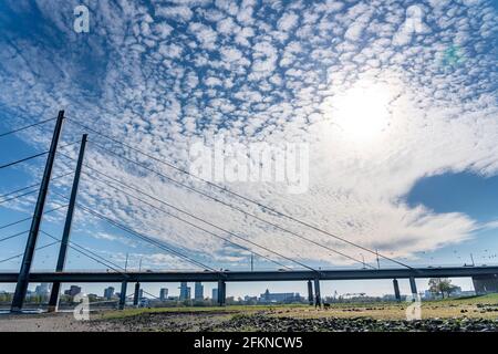 Prés du Rhin à Düsseldorf-Oberkassel, pont du genou du Rhin, pont du Rhin, nuages de moutons, NRW, Allemagne, Banque D'Images