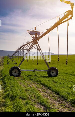 Système d'arrosage sur le terrain. Un pivot d'irrigation prêt à l'emploi Banque D'Images