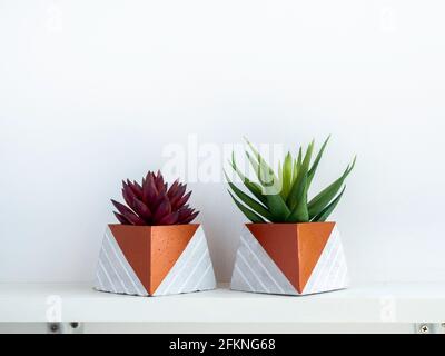 Pots en béton de bricolage, forme pyramidale avec plantes succulentes vertes et rouges sur une étagère en bois blanc sur fond de mur blanc avec espace de copie. Deux cop. Uniques Banque D'Images