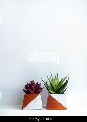 Pots en béton de bricolage, forme pyramidale avec plantes succulentes vertes et rouges sur une étagère en bois blanc sur fond de mur blanc avec espace de copie. Deux cop. Uniques Banque D'Images