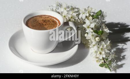 Tasse blanche de café et branche de printemps floraison avec des fleurs blanches sur le fond blanc en plein soleil du matin. Ambiance printanière. Bannière Banque D'Images