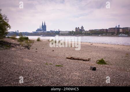 Bas niveau du Rhin, 29 avril 2021, bords du Rhin dans le district de Deutz, vue sur la cathédrale, Cologne, Allemagne. Niedriger Wass Banque D'Images