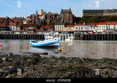 Chasse aux fossiles sur Whitby Beach Banque D'Images