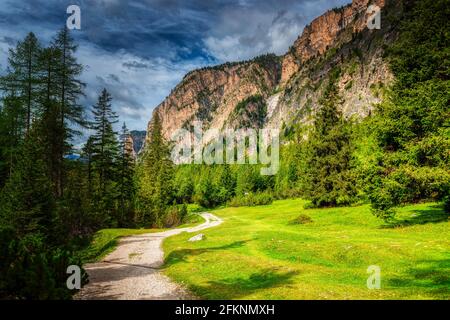 Sentier de montagne à travers la forêt en été, jour ensoleillé, Val Gardena - Dolomites Banque D'Images