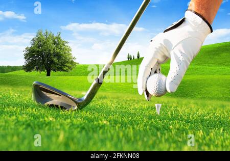 Main du golfeur mettant une balle de golf sur le tee dans le golf cours Banque D'Images