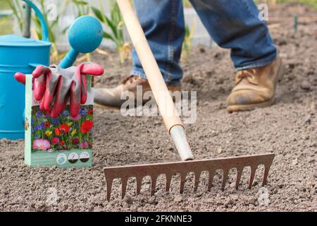 Semis de fleurs sauvages. Préparer un lit de semences avant de semer des semences de fleurs sauvages dans un jardin. ROYAUME-UNI Banque D'Images