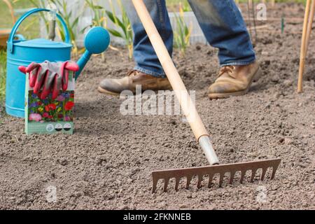 Semis de fleurs sauvages. Préparer un lit de semences avant de semer des semences de fleurs sauvages dans un jardin. ROYAUME-UNI Banque D'Images