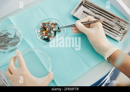 Médecin transférant les soies de polissage dentaire d'une plaque à l'autre Banque D'Images