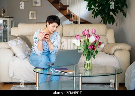 Femme de course mixte concentrée assise sur le canapé à l'aide d'un ordinateur portable. Travaillant à la maison. Espace de travail confortable avec fleurs de tulipe fraîches, une tasse de thé, téléphone, et n Banque D'Images
