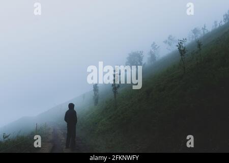 Une figurine à capuche solitaire de moody, de retour à la caméra debout sur un chemin qui regarde une colline brumeuse lors d'une journée d'atmosphère de moody. Banque D'Images