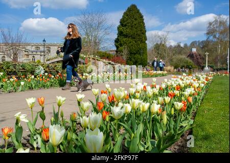 Old Amersham, Buckinghamshire, Royaume-Uni. 14 avril 2021. Ce matin, les gens ont profité du beau soleil printanier dans les jardins du souvenir dans le vieux Amersham, alors que la ville reprend vie après la prochaine étape de la feuille de route pour atténuer les restrictions de confinement de Covid-19. Bienvenue Retour des panneaux ont été placés autour de la ville par Buckinghamshire Council et Bunking a été placé autour de la ville. Crédit : Maureen McLean/Alay Banque D'Images