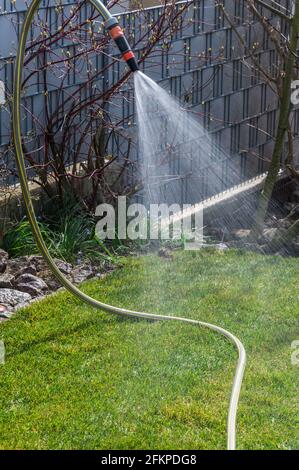 Jet d'eau pulvérisant sur un gazon fraîchement posé dans un jardin Banque D'Images
