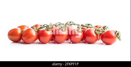 Tomates cerises rouges fraîches. Petites tomates sur branche isolées sur fond blanc. Banque D'Images