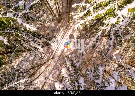Couleurs dans la forêt d'hiver - un parapluie arc-en-ciel coloré comme aérienne comme coup de tête vers le bas au centre de la neige a couvert les arbres blancs de wintry. Banque D'Images