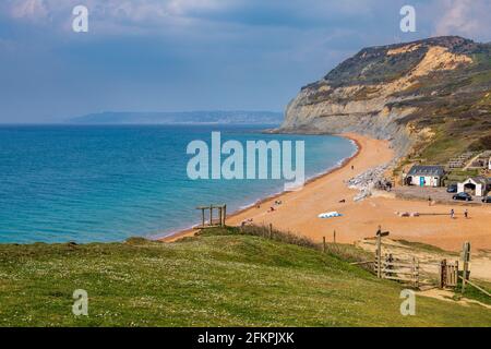 Golden Cap de Ridge Cliff à Seatown sur la côte jurassique, Dorset, Angleterre Banque D'Images