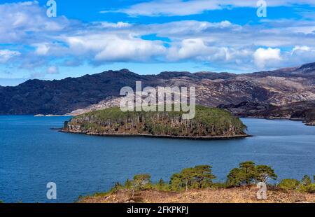 SHIELDAIG WESTER ROSS HIGHLANDS ECOSSE VUE PRINTANIÈRE SUR LE LOCH SHIELDAIG AVEC L'ÎLE COUVERTE D'ARBRES FIR Banque D'Images