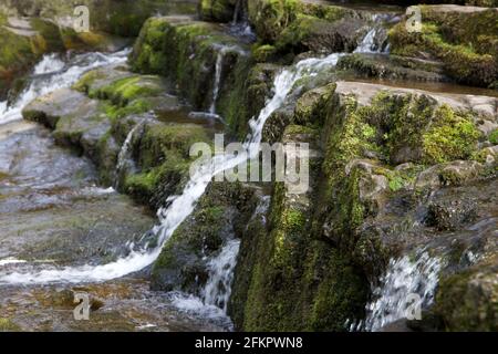 Cascade sur le sentier four Falls Banque D'Images