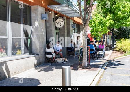 ASHEVILLE, Caroline du Nord, États-Unis-1 MAI 2021 : le restaurant Black Bird, avec dîner sur le trottoir. Les gens et le chien. Ensoleillé, jour de printemps. Banque D'Images