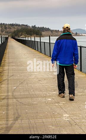 WA19572-00...WASHINGTON - Hiker traversant la trelle en traversant la baie de Fidalgo La piste Tommy Thompson avec la marina et le centre-ville d'Anacortes dans la ba Banque D'Images