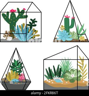 Terrariums floraux plantation. Jardins de dessins animés avec des succulents et des cactus, dessin à la main nature mignonne en terrariums géométriques, illustration vectorielle concept de jardinage isolé sur blanc Illustration de Vecteur