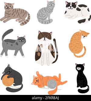 Les chats de dessin animé Fanny dans différentes poses. Chats domestiques dormant et marchant, assis et jouant, heureux et triste chatons icônes vecteur sur fond blanc Illustration de Vecteur