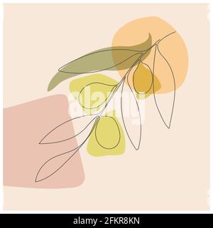 Branche d'olive en feuilles et olives en ligne continue. Style abstrait, conception plate. Illustration de Vecteur