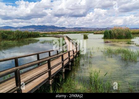 Passerelles au-dessus des lacs du Parc naturel el Fondo en Espagne Banque D'Images