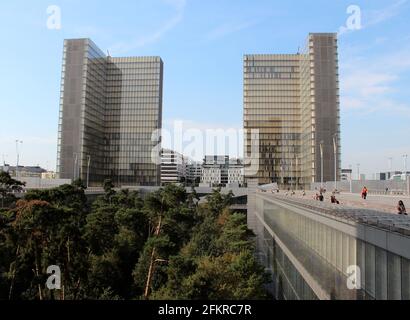 Forêt entre les bibliothèques de la ville de Paris, France. Bibliothèque François-Mitterrand Banque D'Images