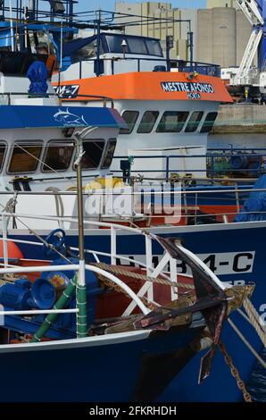 La flotte portugaise de pêche au thon en pole et ligne, basée à Caniçal (Madère) pour l'hiver Banque D'Images