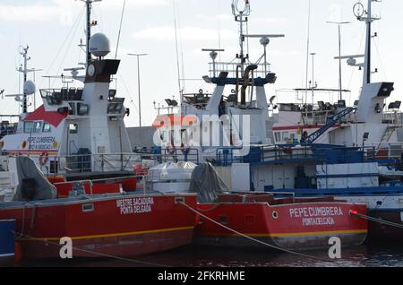 La flotte portugaise de pêche au thon en pole et ligne, basée à Caniçal (Madère) pour l'hiver Banque D'Images