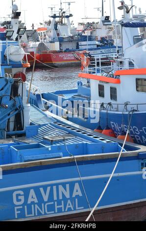 La flotte portugaise de pêche au thon en pole et ligne, basée à Caniçal (Madère) pour l'hiver Banque D'Images