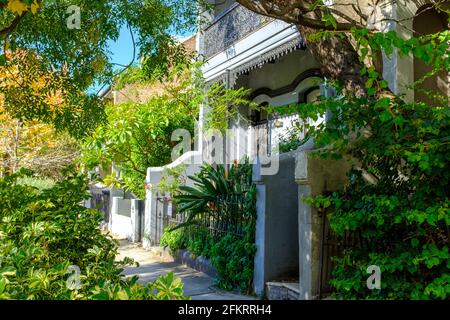 Maison de style fédération ombragée par des plantes, Redfern Sydney, Australie. La gentrification et l'utilisation de plantes pour refroidir les rues de la ville. Banque D'Images