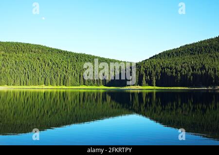 Lac de montagne incroyable paysage avec ciel clair, eau calme et réflexion spéculaire. Lac noir dans le parc national Durmitor, Zabljak, Monténégro Banque D'Images