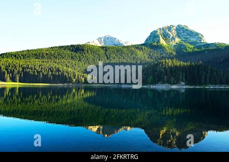 Lac de montagne incroyable paysage avec ciel clair, eau calme et réflexion spéculaire. Lac noir dans le parc national Durmitor, Zabljak, Monténégro Banque D'Images