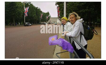 Une vague d'excitation traverse le croud en attente La Reine en route pour un service à Westminster Abbaye pour commémorer le 50ème anniversaire de son Coronation.pic David Sandison 2/5/2003 Banque D'Images