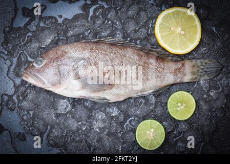 Poisson de mérou sur glace, poisson frais de fruits de mer crus pour les aliments cuits Banque D'Images