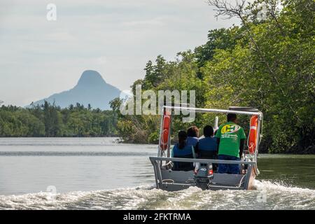 Croisière le long de la rive aérienne de Sibu Laut-Telaga, Matang, Sarawak, Malaisie