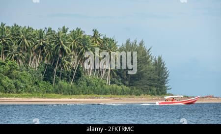 Croisière le long de la rive aérienne de Sibu Laut-Telaga, Matang, Sarawak, Malaisie