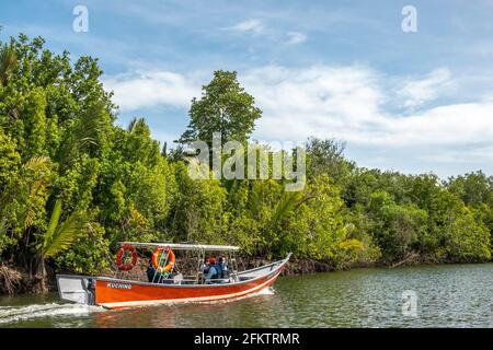 Croisière le long de la rive aérienne de Sibu Laut-Telaga, Matang, Sarawak, Malaisie
